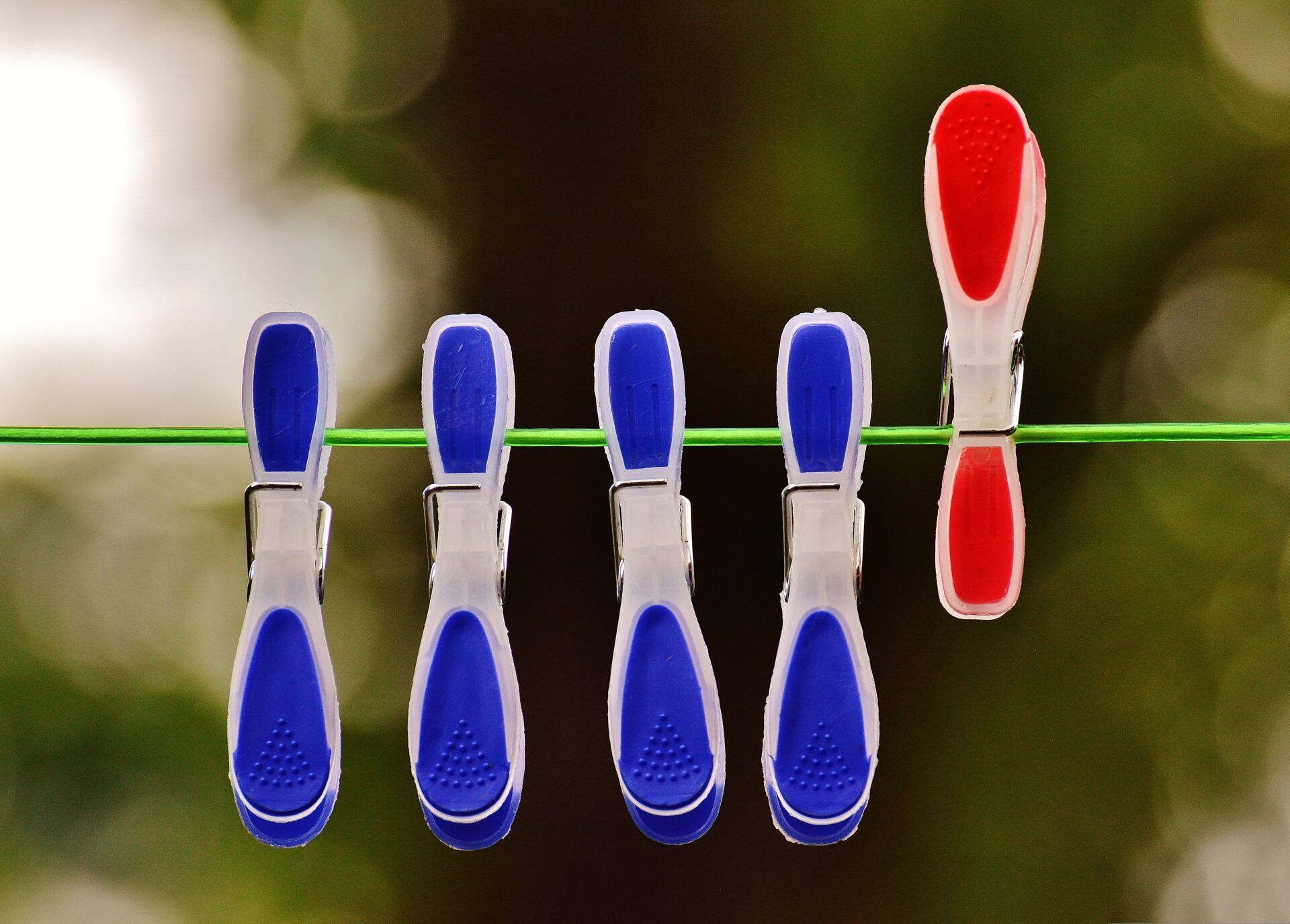 Top Spot & Single Spot